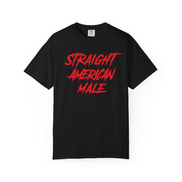 Straight American Male T-Shirt - Image 3